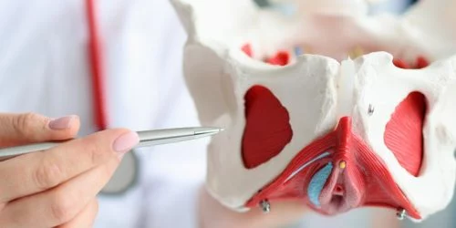 Fisioterapia del suelo pélvico